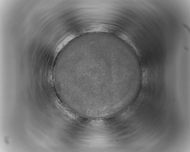 X0000102300882200808152015
