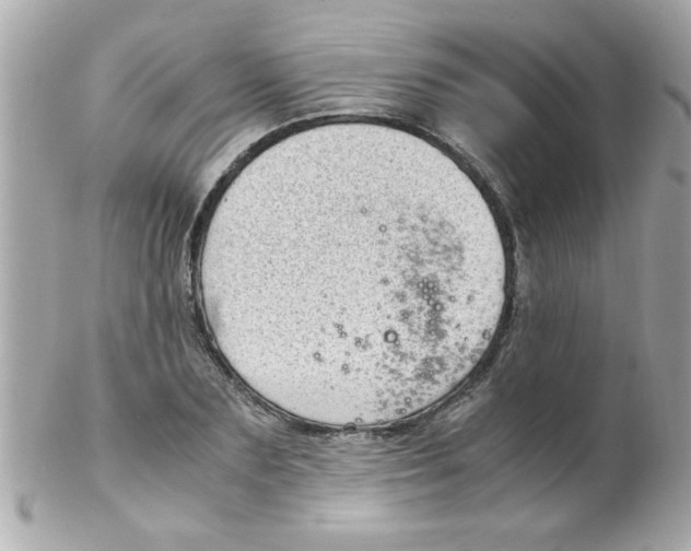 X0000102300883200808152015