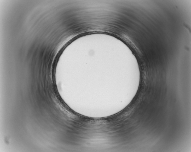 X0000102300884200808152015