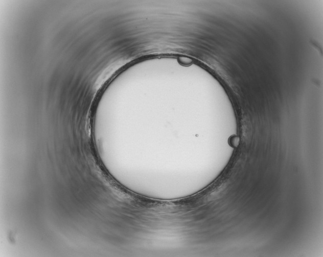 X0000102300885200808152015