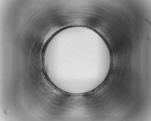 X0000102300886200808152015