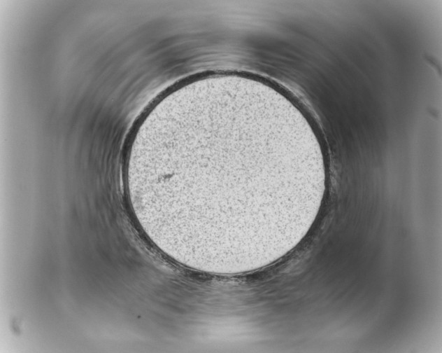 X0000102300887200808152015