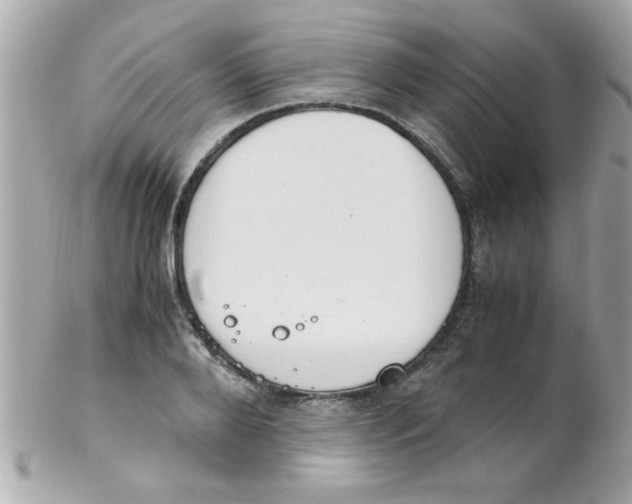 X0000102300888200808152015