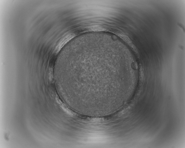 X0000102300889200808152014