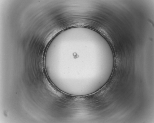 X0000102300890200808152014