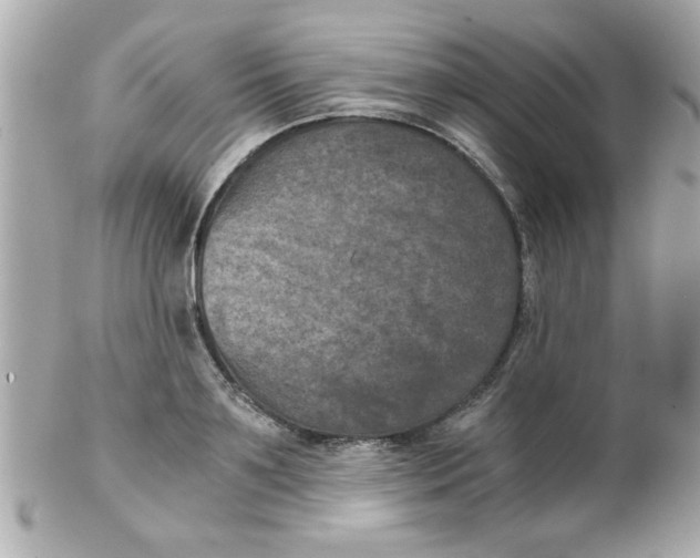 X0000102300891200808152014