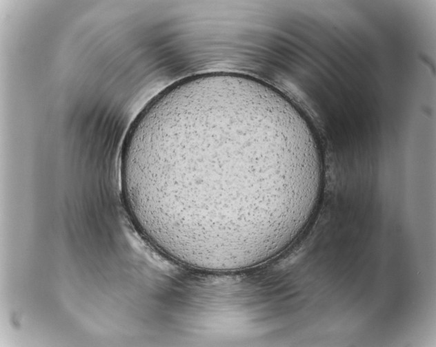 X0000102300892200808152014