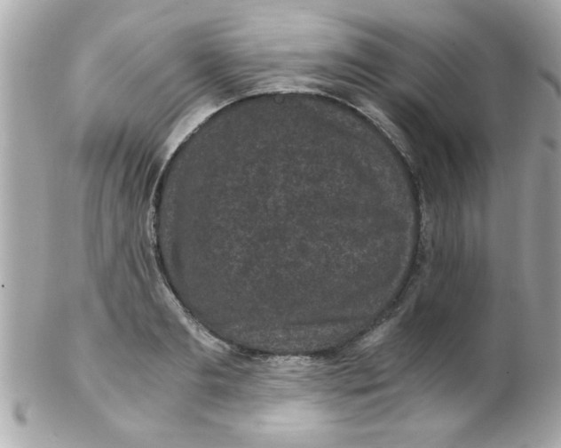 X0000102300893200808152014