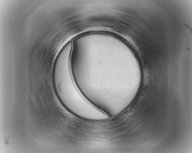 X0000102300895200808152014