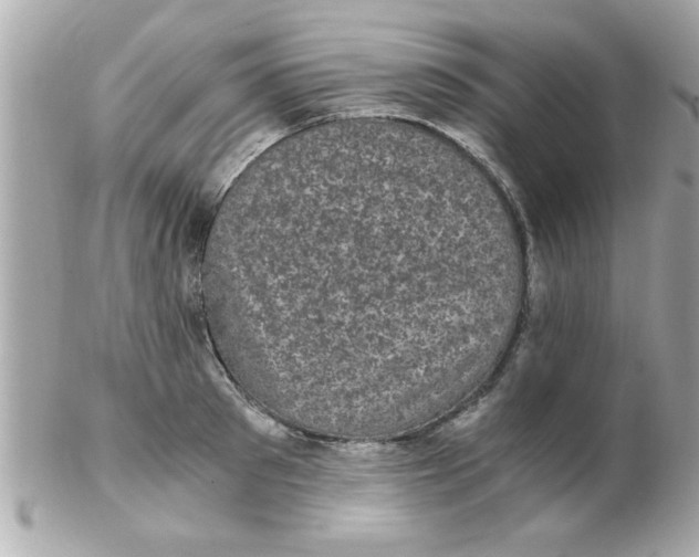 X0000102300897200808152014