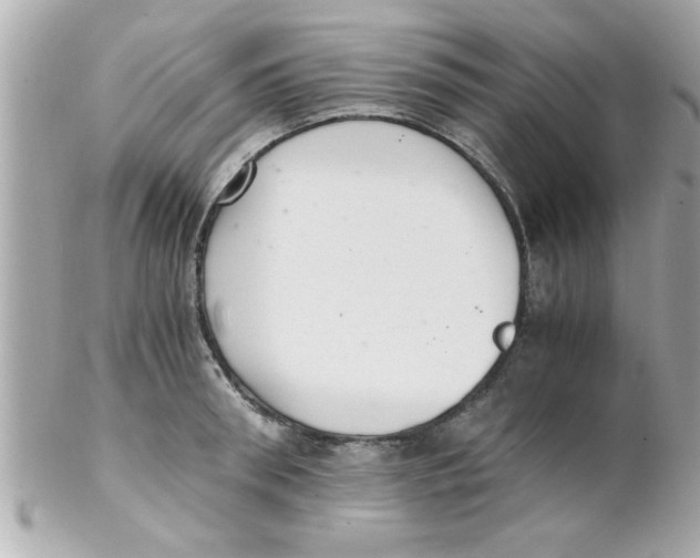 X0000102300898200808152014