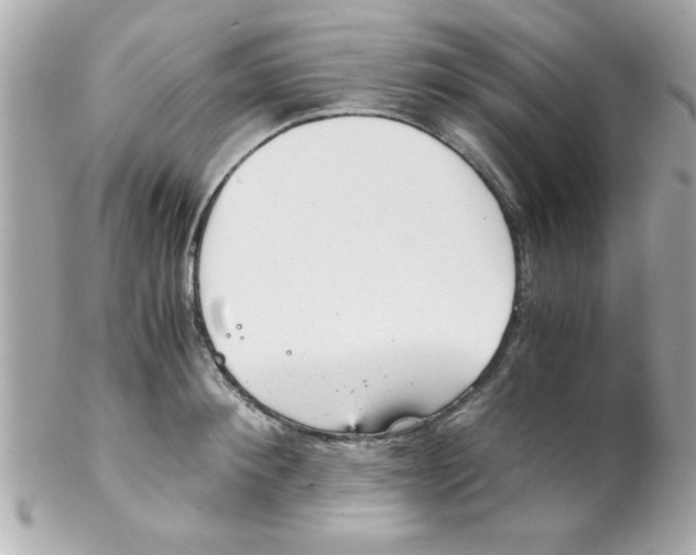 X0000102300900200808152014