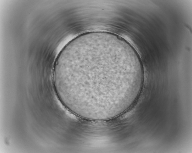 X0000102300901200808152014