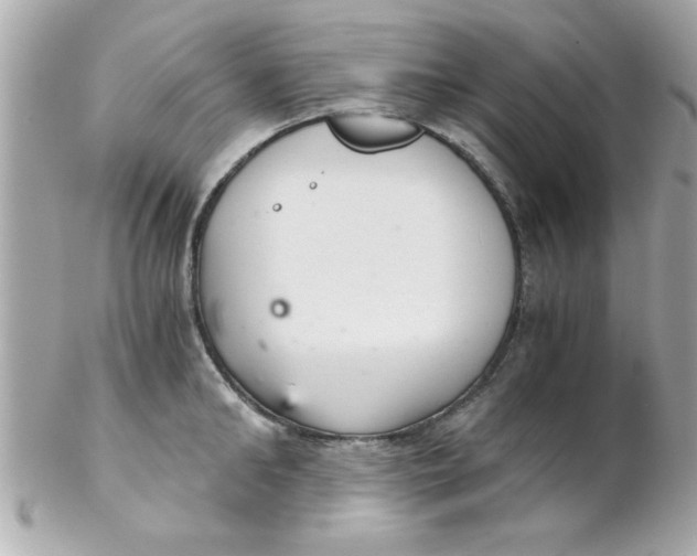 X0000102300902200808152014