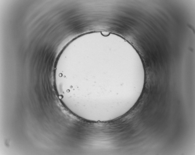 X0000102300904200808152014