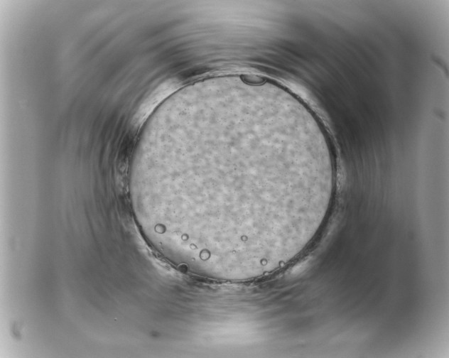 X0000102300905200808152014