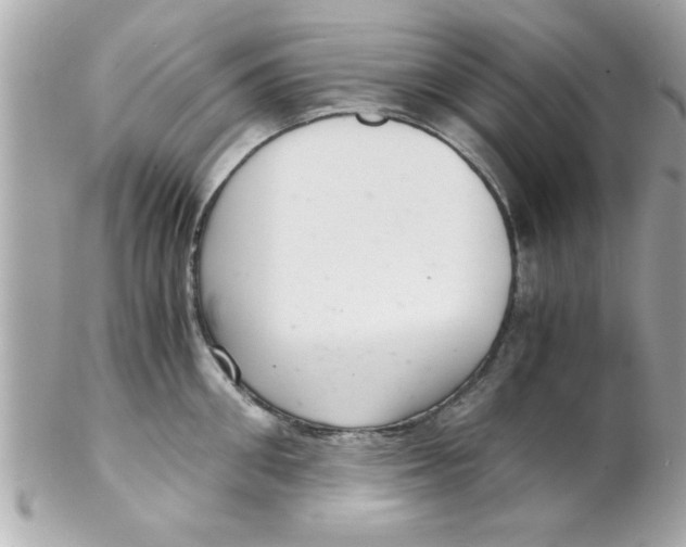 X0000102300906200808152014