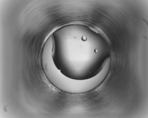X0000102300908200808152014