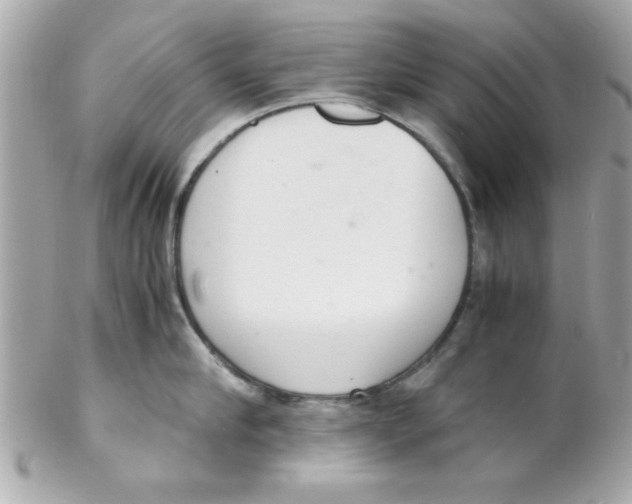 X0000102300910200808152014