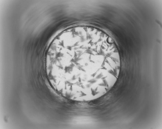 X0000102300911200808152014