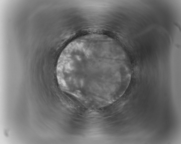 X0000102300913200808152014
