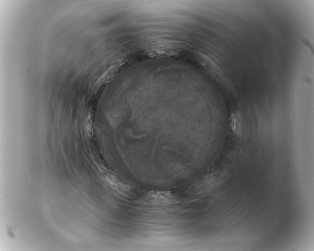 X0000102300915200808152014