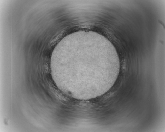 X0000102300916200808152014