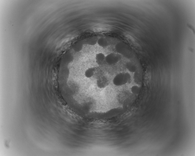 X0000102300917200808152014