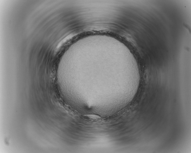 X0000102300920200808152014