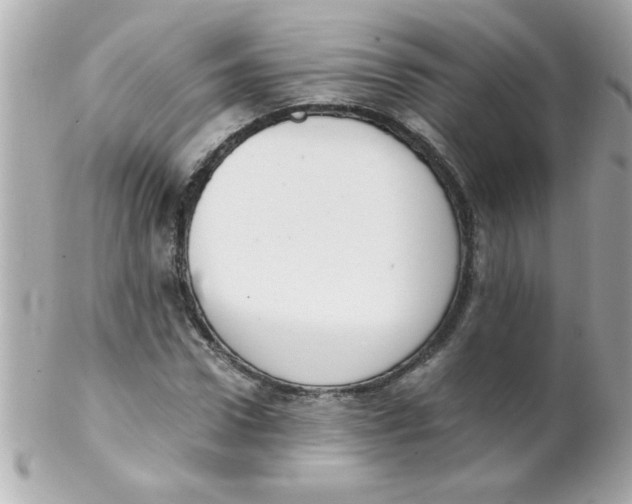 X0000102300922200808152014