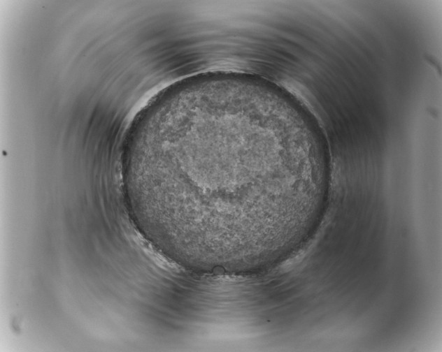 X0000102300923200808152014