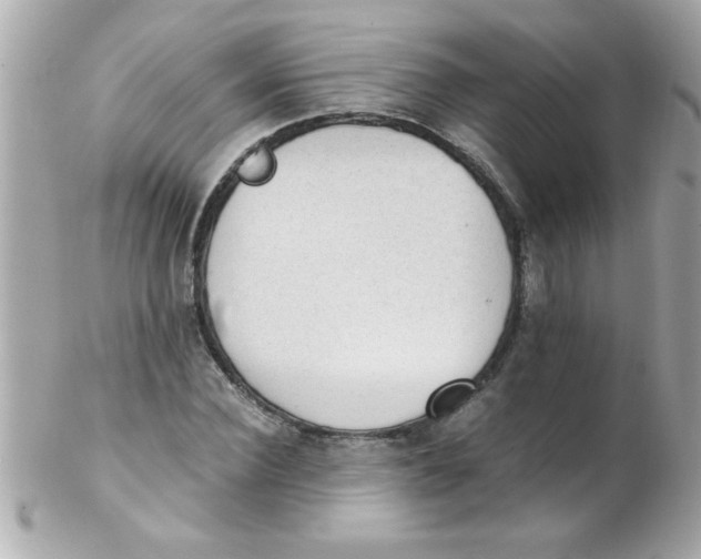 X0000102300924200808152014