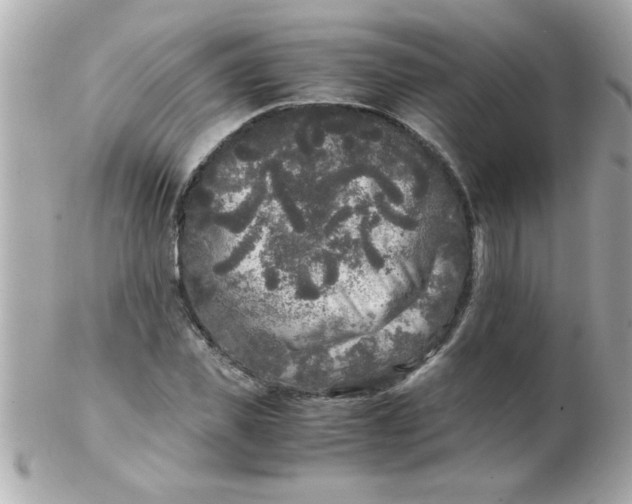 X0000102300925200808152014