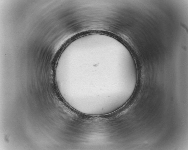 X0000102300926200808152014