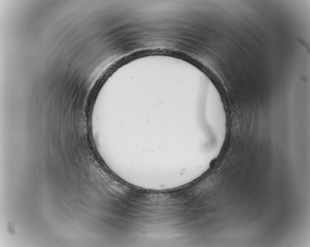 X0000102300927200808152014