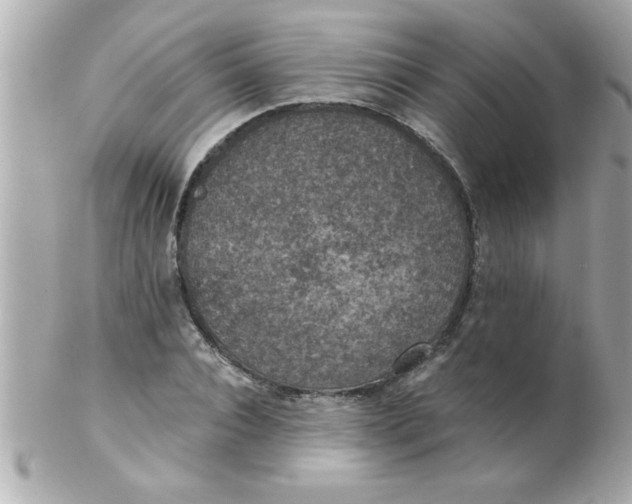 X0000102300928200808152014