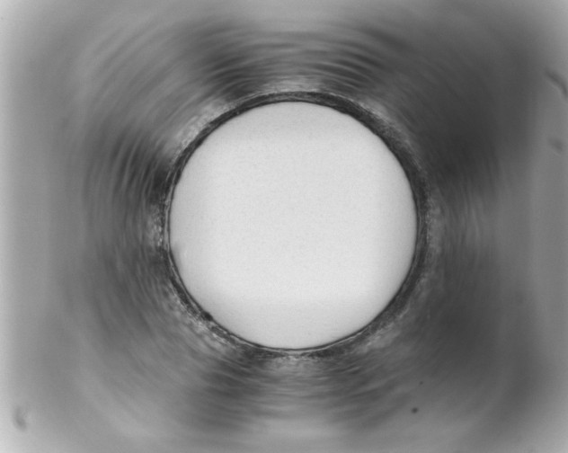 X0000102300929200808152014