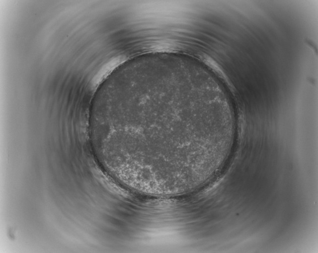 X0000102300930200808152014