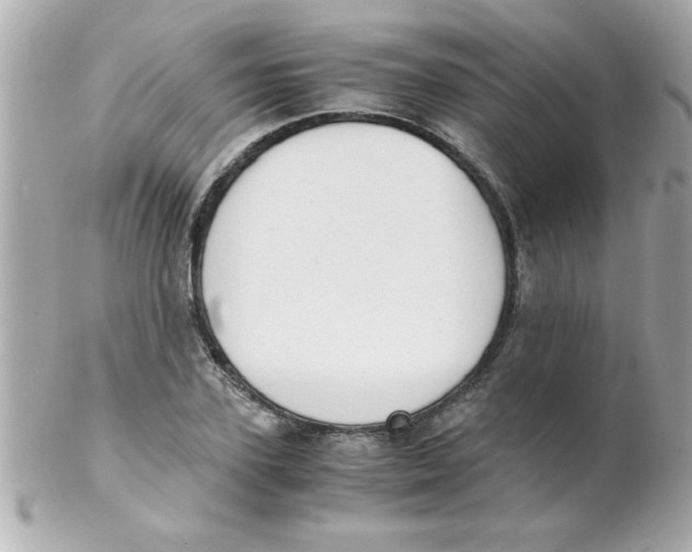 X0000102300931200808152014
