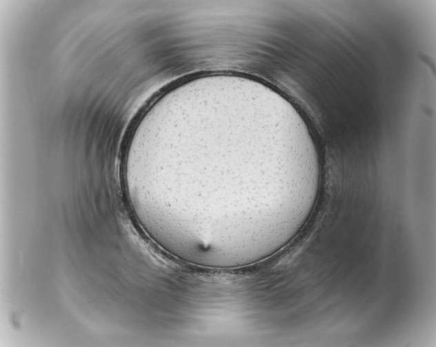 X0000102300932200808152014