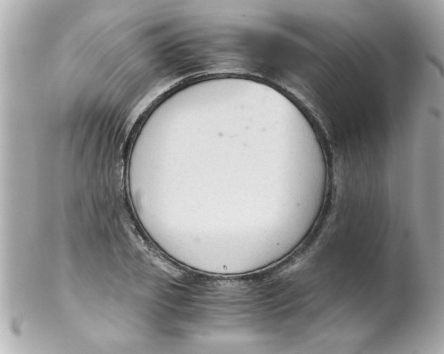X0000102300933200808152014