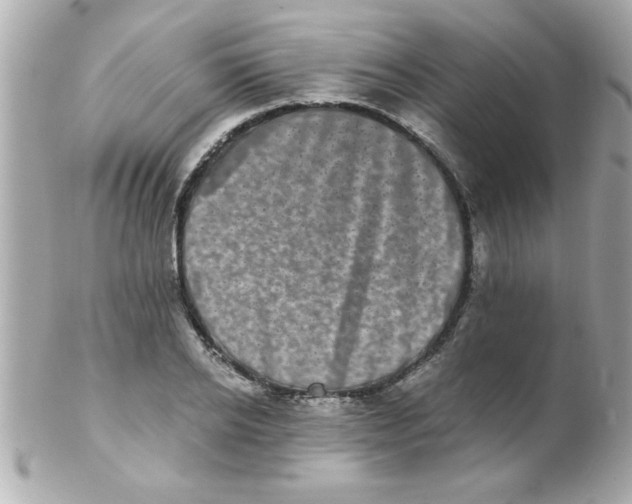 X0000102300934200808152014