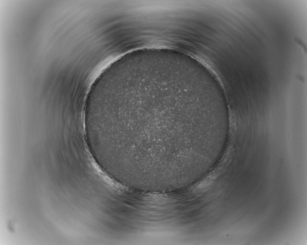 X0000102300935200808152014