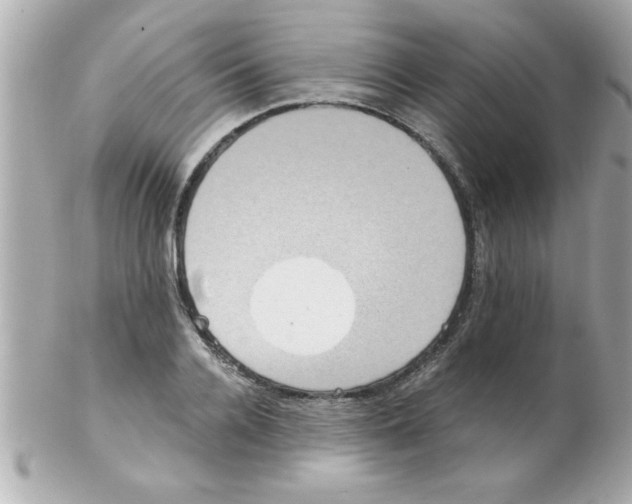 X0000102300936200808152014