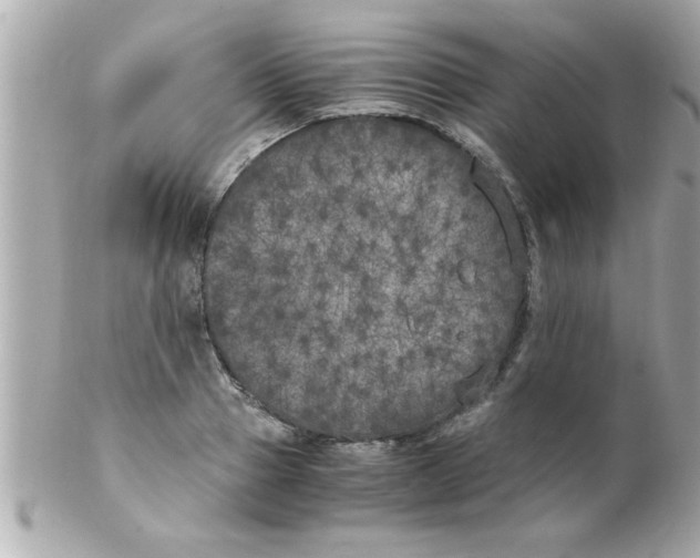 X0000102300937200808152014