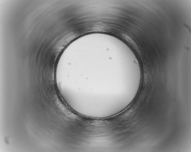 X0000102300938200808152014