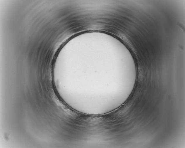 X0000102300939200808152014