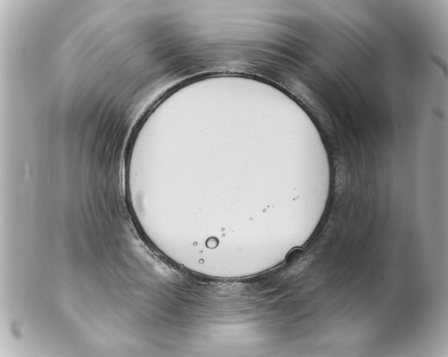 X0000102300940200808152014