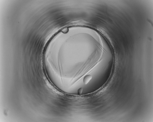 X0000102300941200808152014