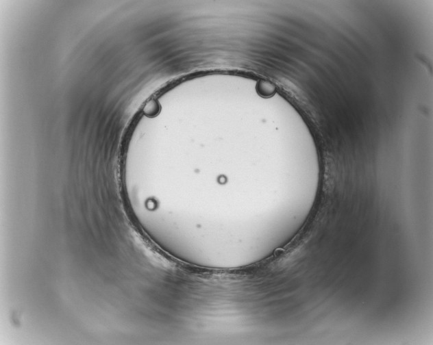 X0000102300942200808152014